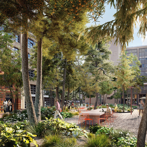 Zukunftsvision: Straße mit Baumbepflanzung auf dem Campus Wilhelminenhof